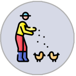 feeding