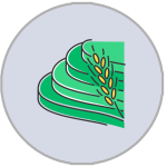 ricefield-img